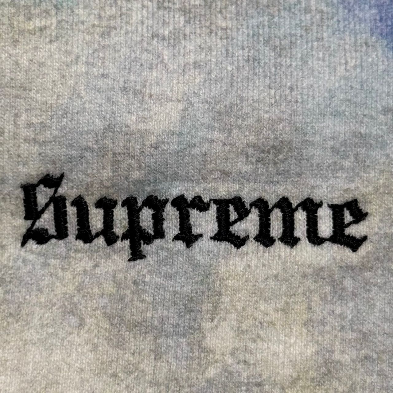 国内正規 Supreme 18SS Landscape Hooded Sweatshirt ランドスケープ 