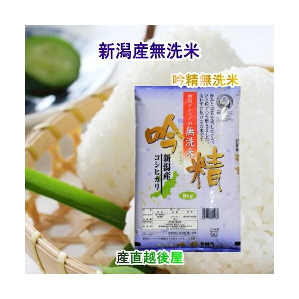 節約 玄米 20kg コシヒカリ 新米 埼玉県産 令和5年産 送料無料 米 20