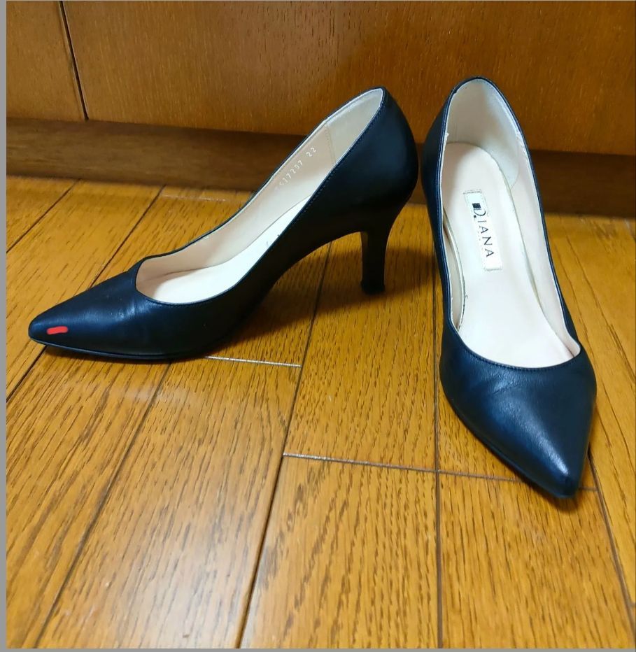 おトク情報がいっぱい！ 18000円→お値下げ中DIANA 22cm セット売り