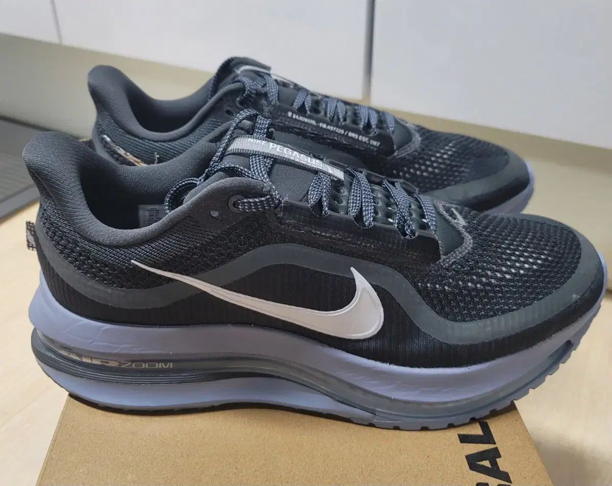 ナイキ ペガサス