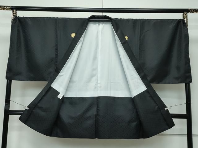 洗える着物 CZAA3660s5