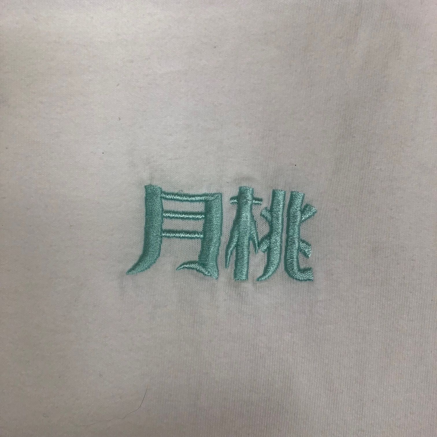 FR2 月桃刺繍バックプリントTシャツ カットソー ファッキンラビッツ 