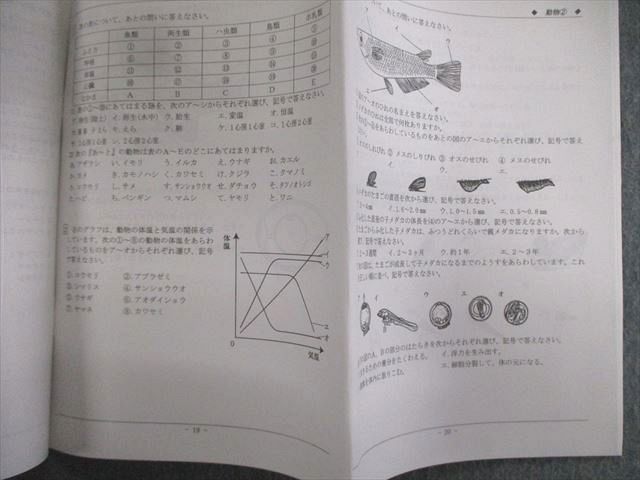 希学園 小6 理科 暗記の完成 I・II 一式 希学園 小6 ベーシックPコース 理科 暗記の完成I/II 【計2回分