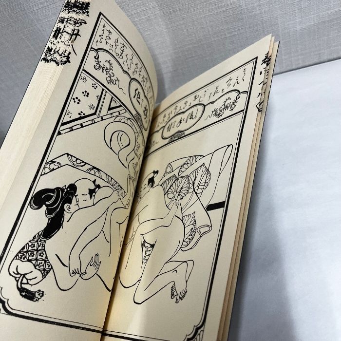 表四十八手 菱川師宣 浮世絵 春画 箱なし 2冊セット - メルカリ