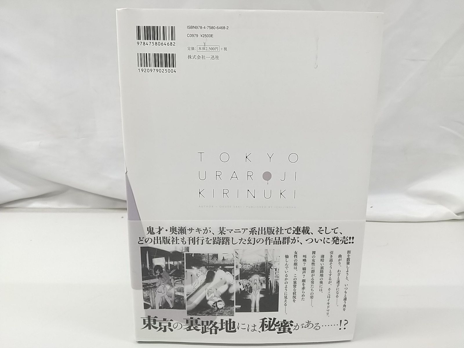 奥瀬サキ　東京裏路地キリヌキ Amazon.co.jp: 東京裏路地キリヌキ : 奥瀬 サキ: 本