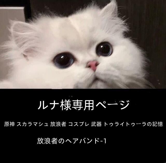 ルナ様専用