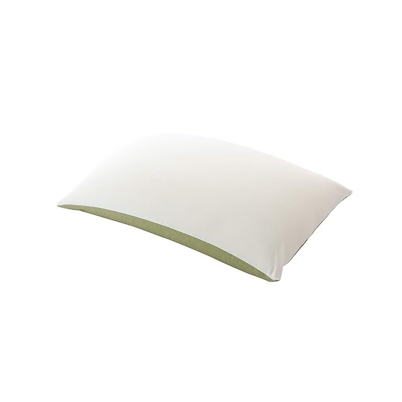 在庫 セルタン ビーズソファー Mサイズ カバーが洗える 和楽のPREMIO プレミオ タスクグリーン A862a-583GRN 618WH 0