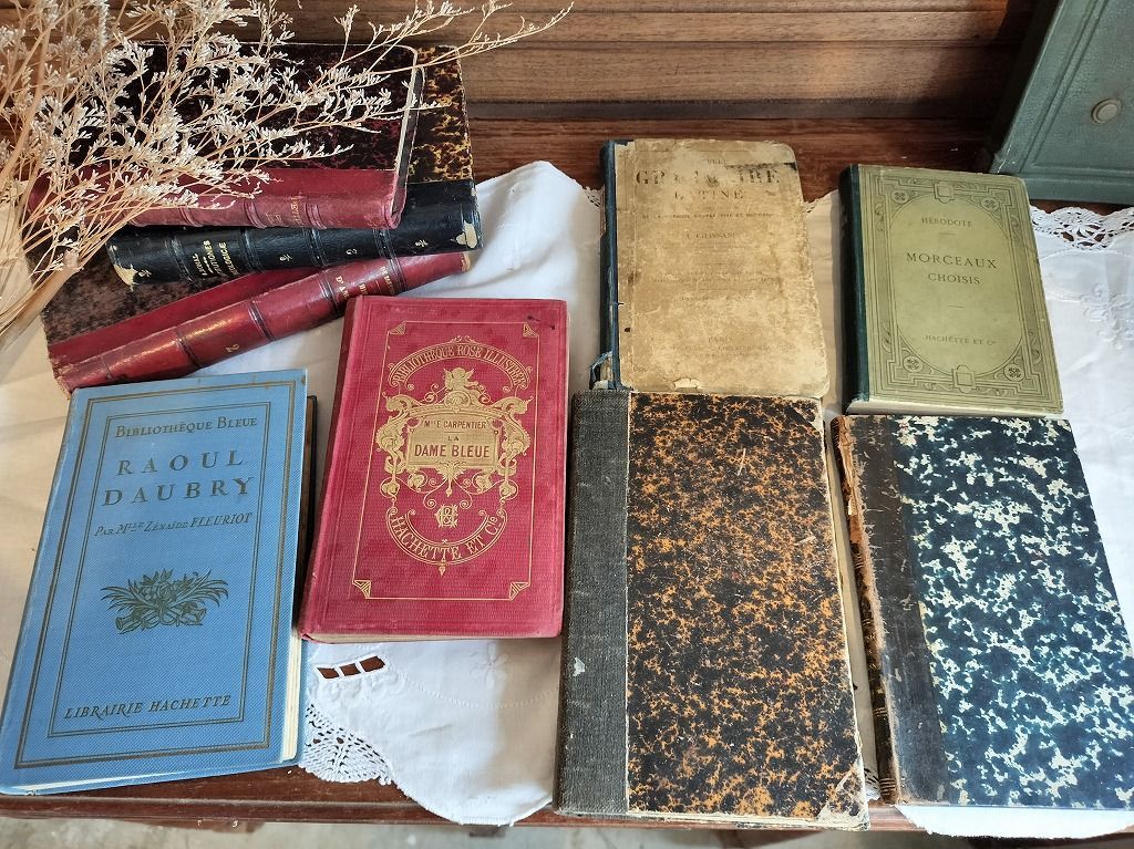 フランスアンティーク ネルソン洋書古書 6冊セット フランス