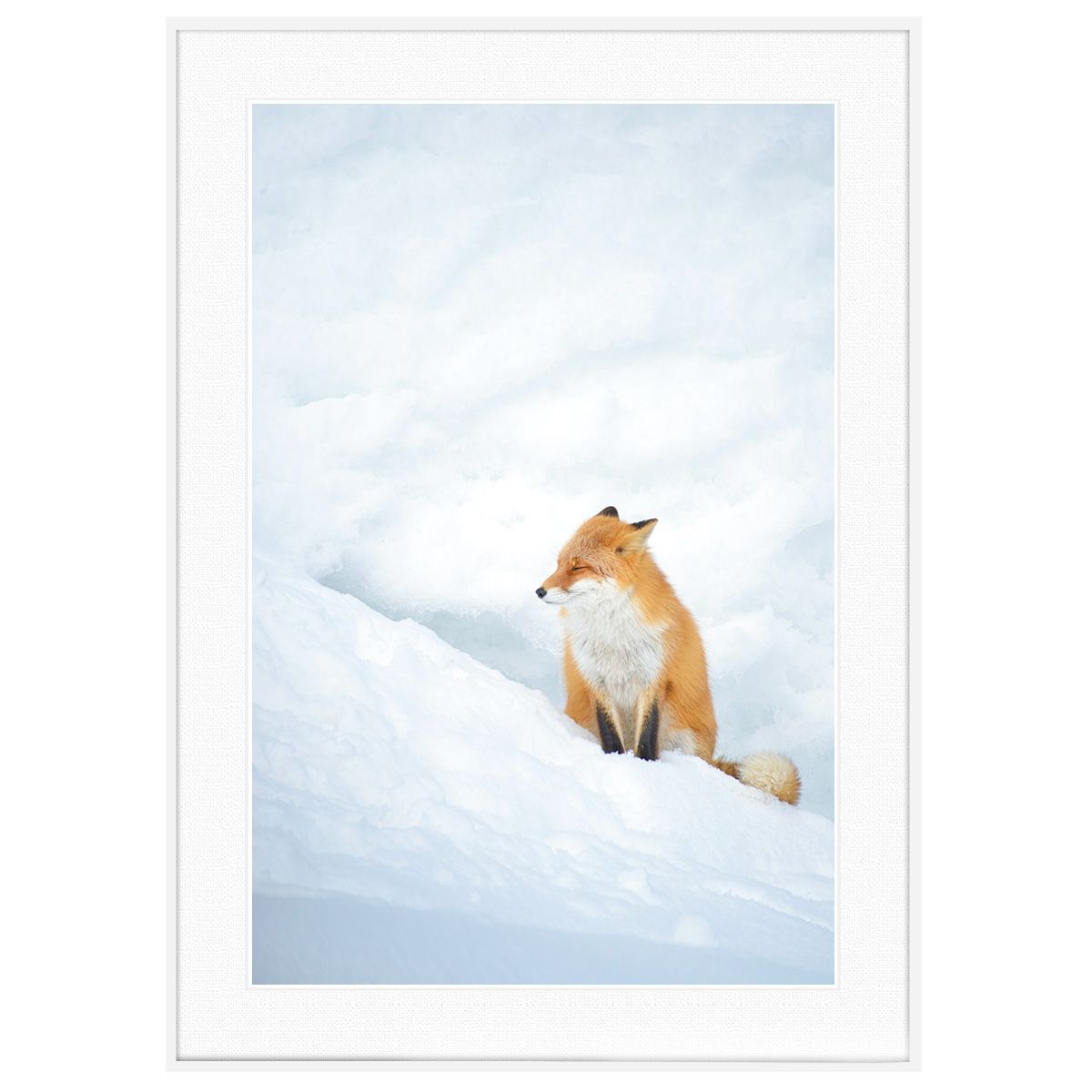 きつね 冬写真 雪の中のキツネ ショップ インテリアアートポスター写真額装 AS1018