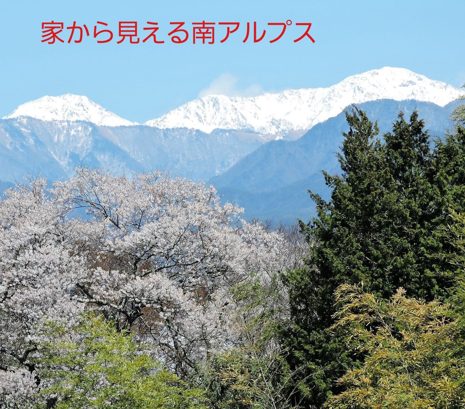 令和4年長野県産 いのちの壱 特別栽培米 はざ掛け米 玄米20Kg - 田中