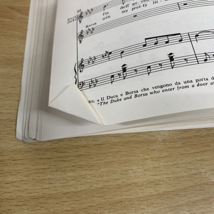 ○01)【同梱不可】VERDI RIGOLETTO/ジュゼッペ・ヴェルディ