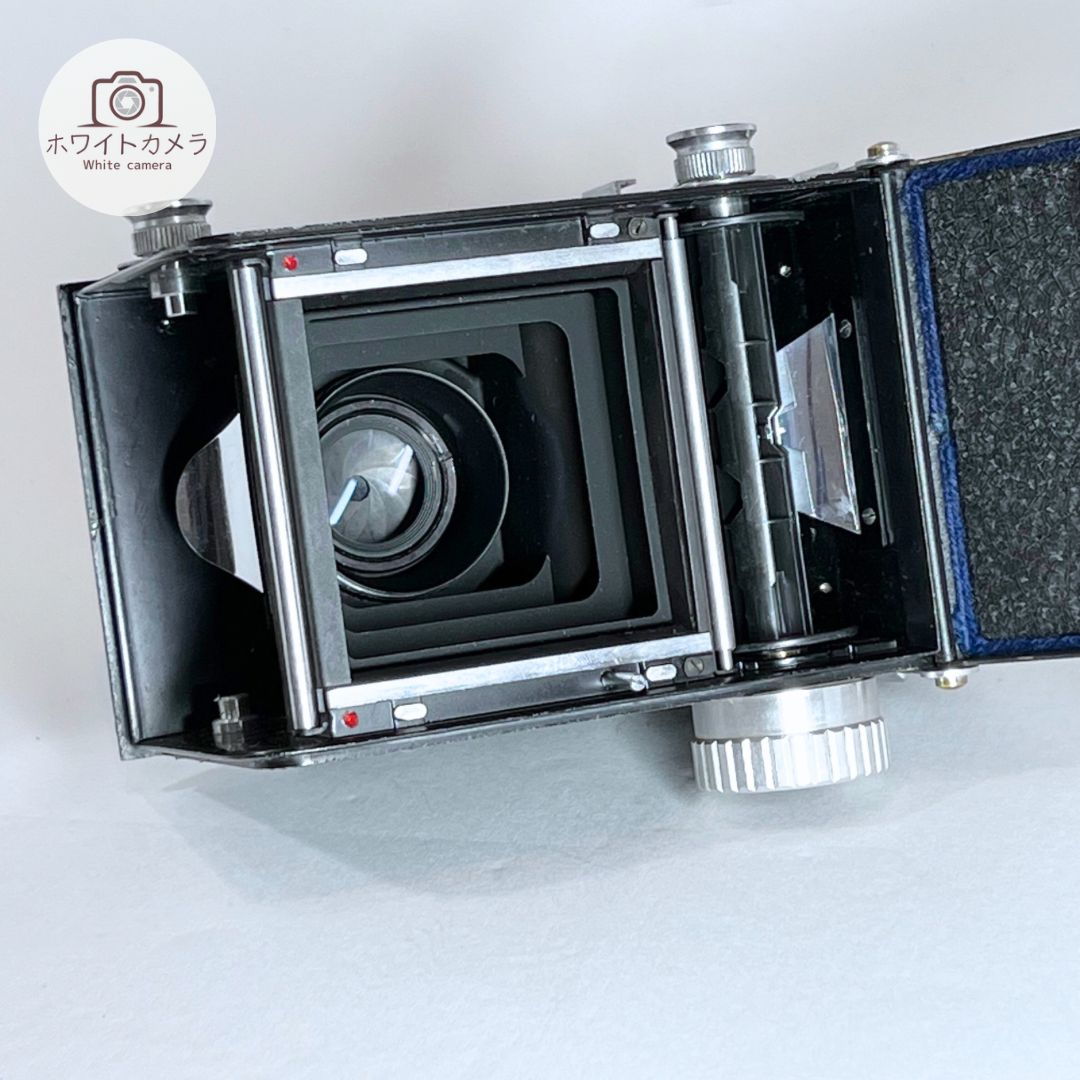 撮影例付き RICOHFLEX