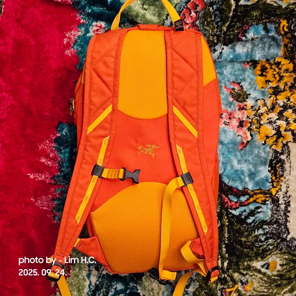 ARC TERYX アークテリクス ピクシーズ 12 バックパック