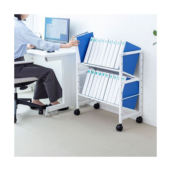 サンワサプライ 高耐荷重ワゴン 2段 WG-207 ホワイト 組立式 MARWIL-DEMENAGEMENTS_CH