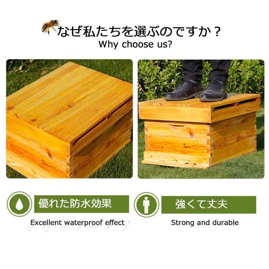 巣箱 養蜂箱養蜂器具蜂蜜蜂の巣箱 ミツバチ セット蜜蜂巣箱7 10フレーム 蜜蜂の巣箱と道具 蜂蜜キーパー みつばち巣箱 耐久性のあります 防水性と防食性 杉木巣 WWW_GEBZETESISAT_COM_TR