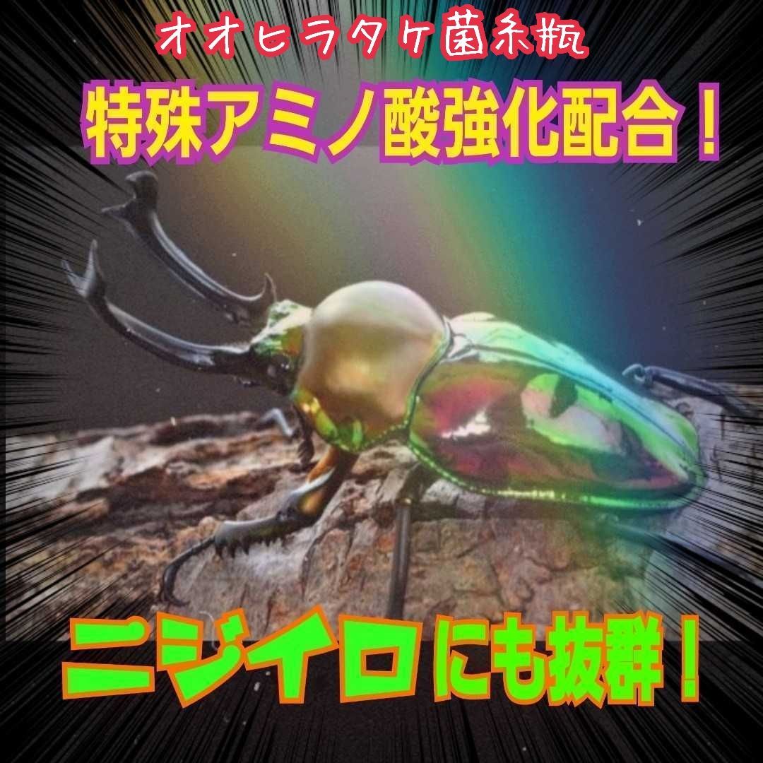 ローヤルゼリー キトサン