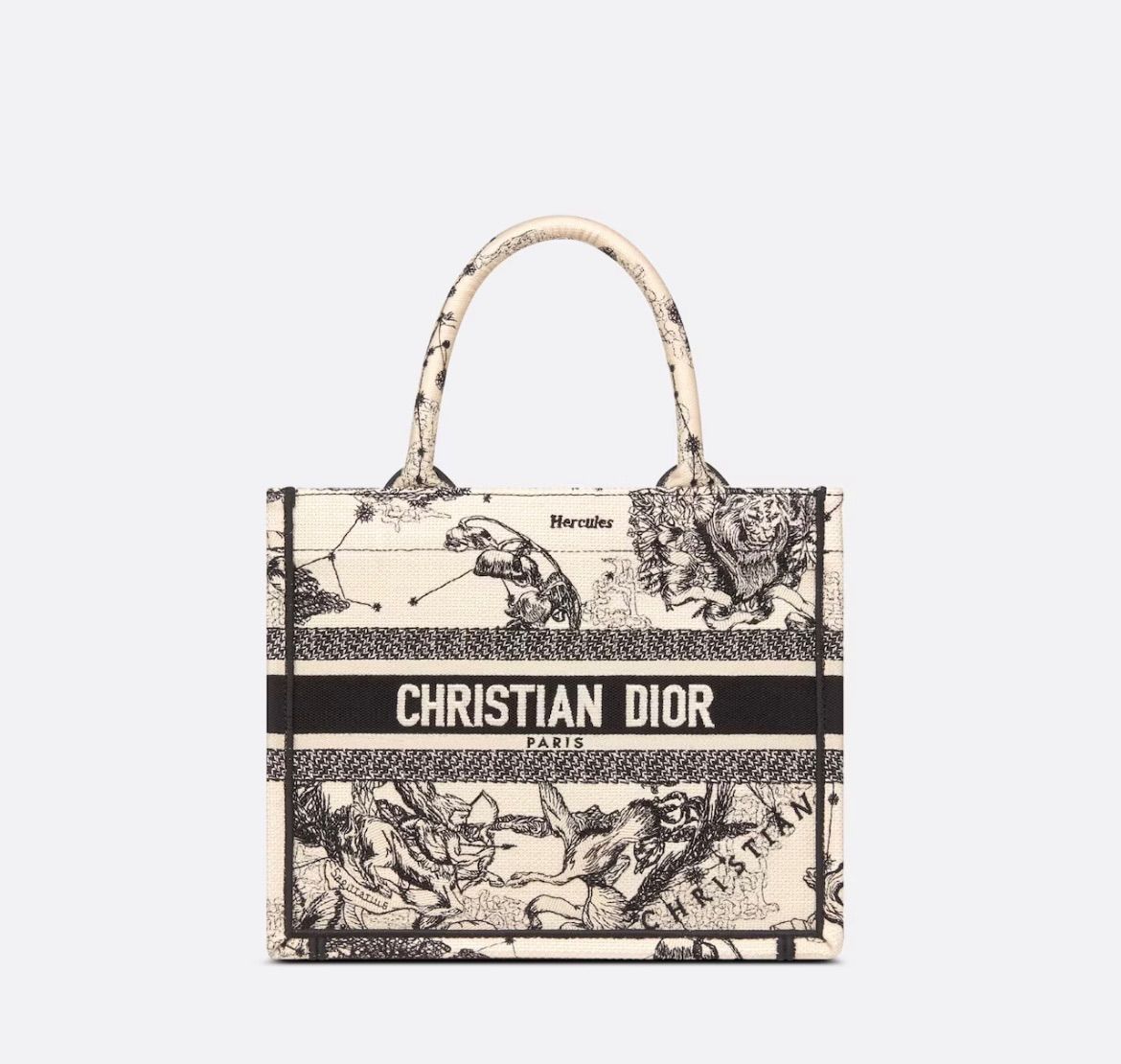 新品 Christian Dior DIOR BOOK TOTE ディオール ブックトート