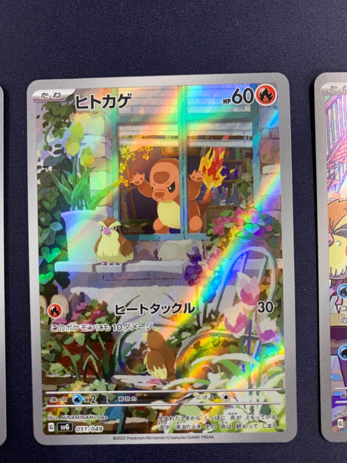 ポケモンカード スペシャルデッキセットex AR　ヒトカゲ　フシギダネ　ゼニガメ スペシャルデッキセットex ヒトカゲ ゼニガメ フシギダネ AR 050