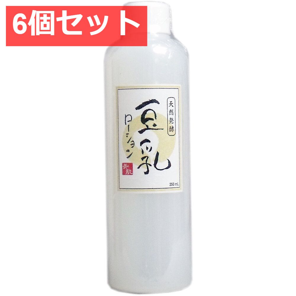 6個セット 天然発酵 豆乳ローション 250mL-流行