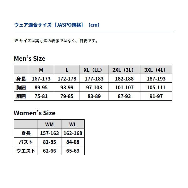  ≪ 25年 新商品 ≫ ダイワ レインマックス R ウインタースーツ DW 3525 ブラック Lサイズ ナイロンライン その他 ウェア