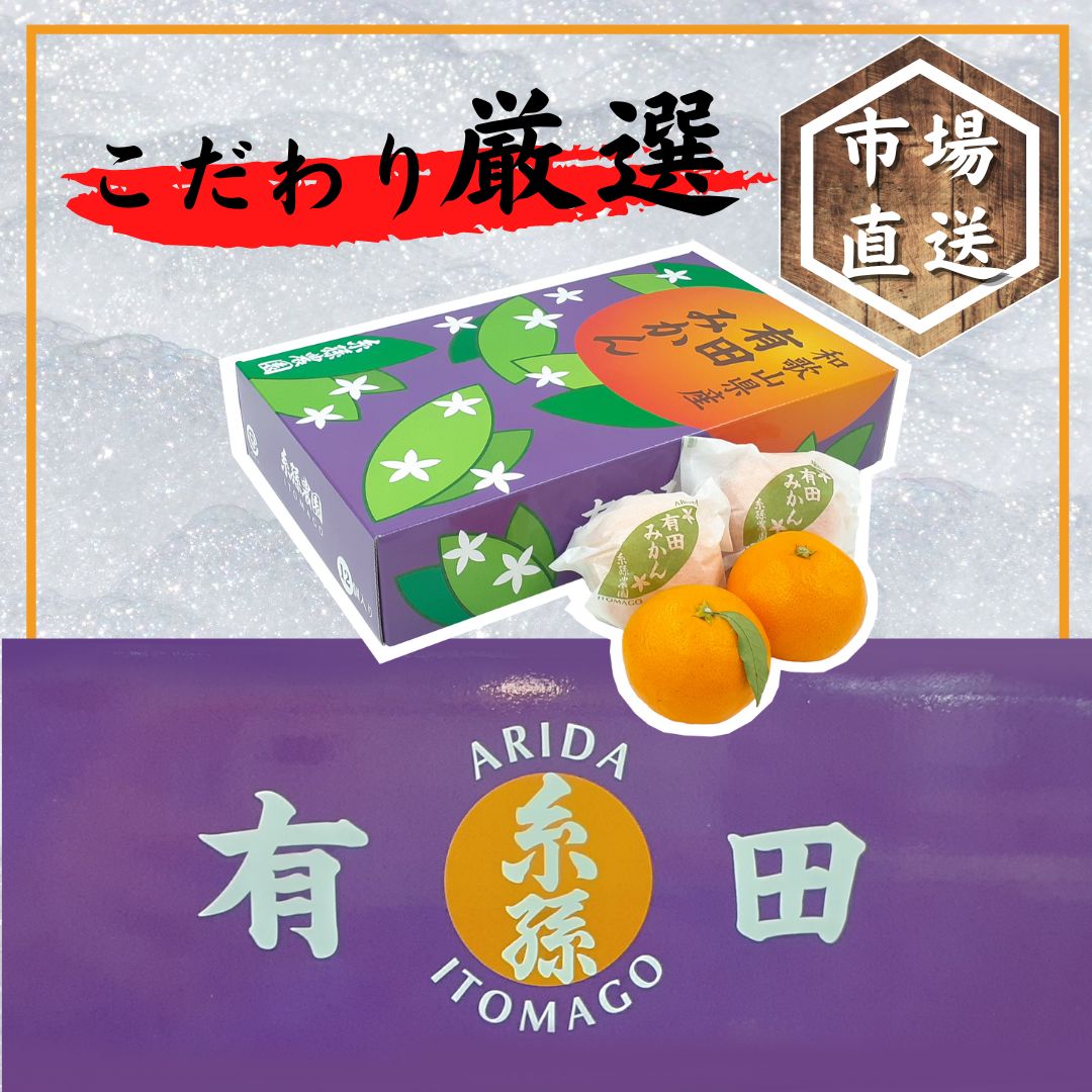 有田市認定】糸孫農園 みかん 贈答用 サイズ12玉もしくは15玉 - メルカリ