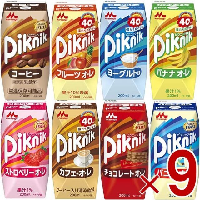 極美品 保存箱袋 ボッテガヴェネタ カセット 購入 マキシ イントレ 折