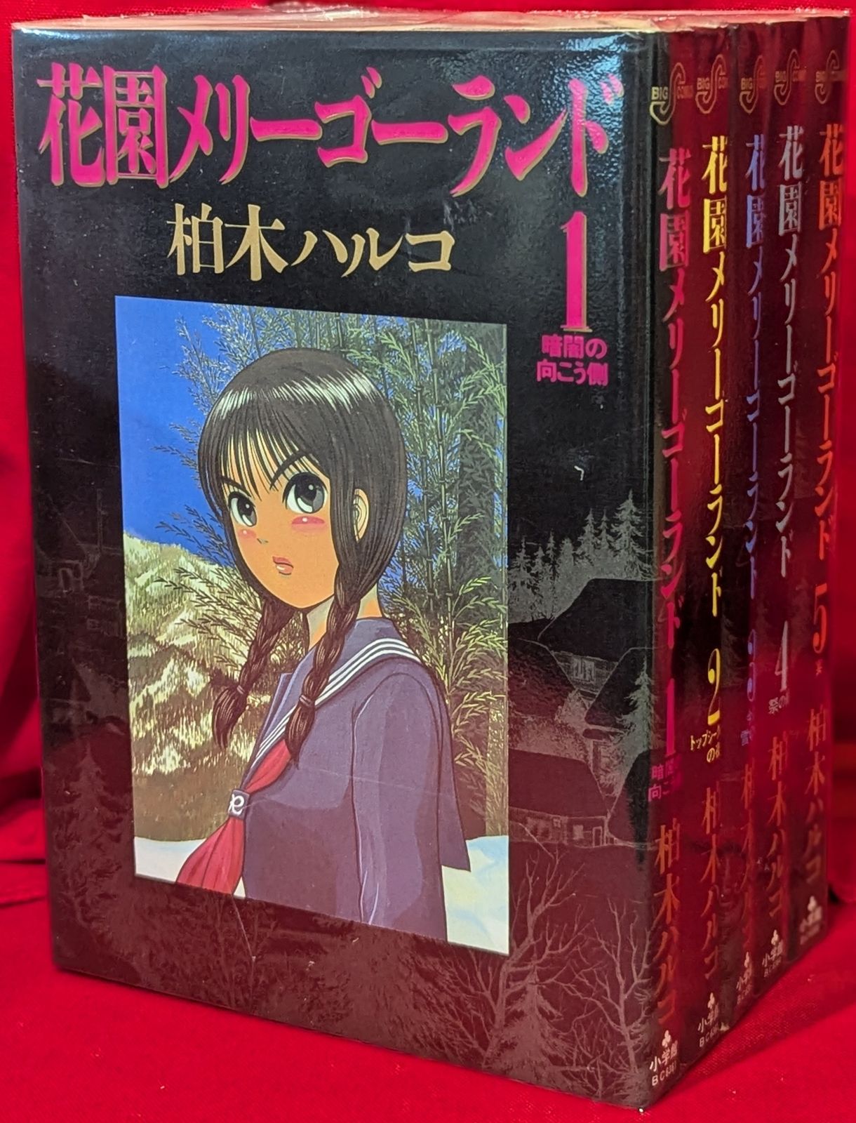 小学館 ビッグコミックス 柏木ハルコ !!)花園メリーゴーランド全5巻 セット