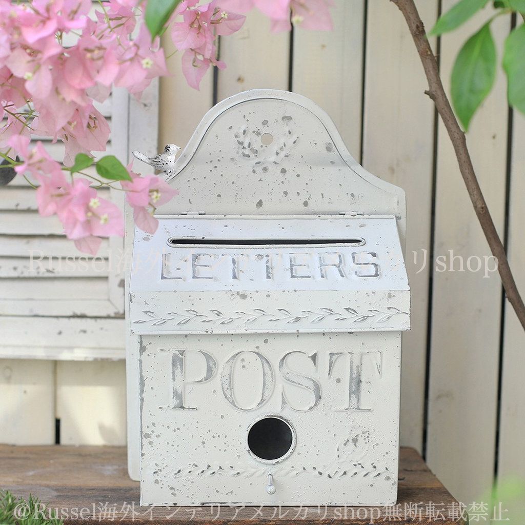 シロヤシオツツジ/特大株【現品発送】管理70495 シロヤシオツツジ/特大株【現品発送】管理70495 シロヤシオツツジ/特大