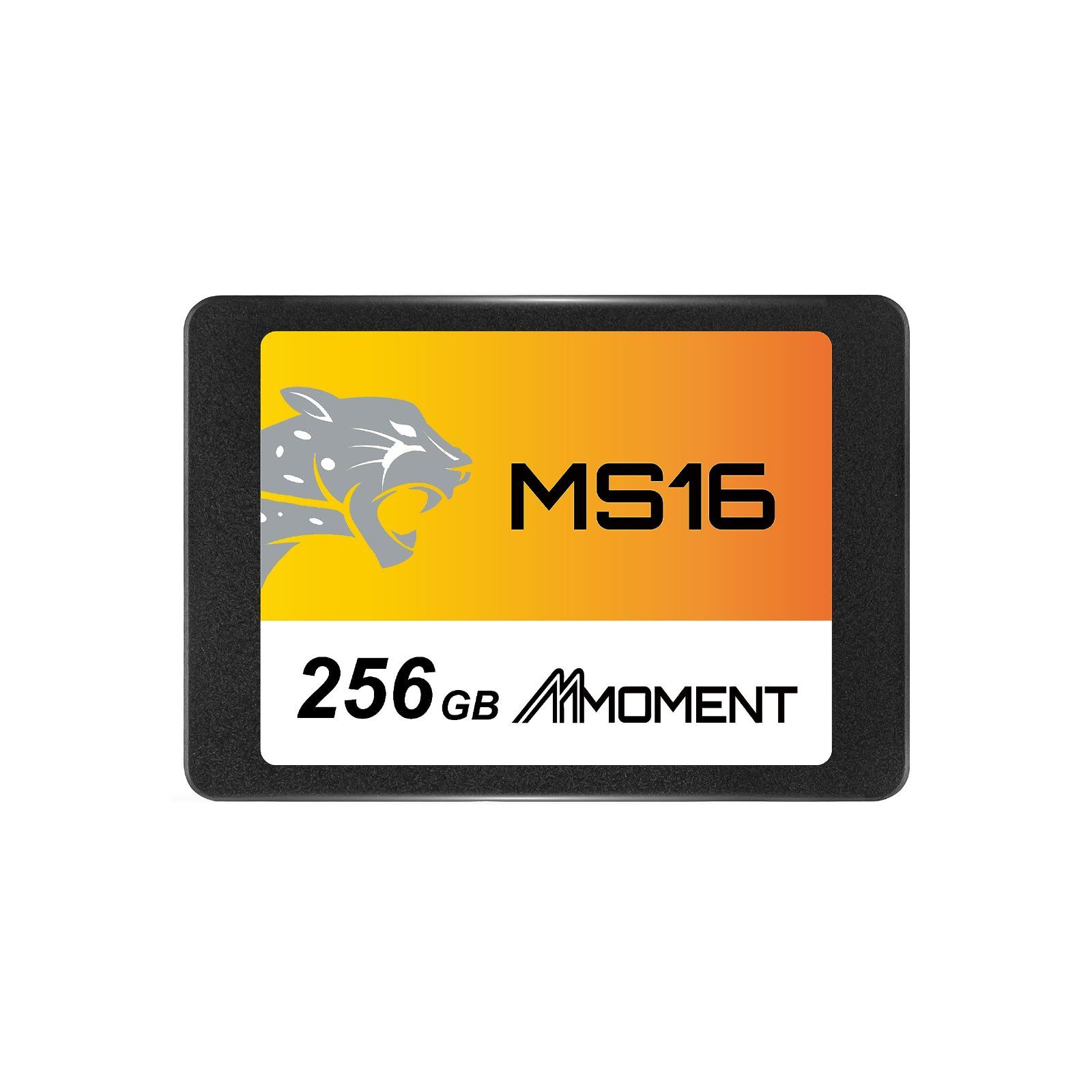2.5インチ_256GB 【台湾製】MMOMENT MS16 256GB 2.5インチ SSD SATA3 6Gb/s (読込最大550MB/s)