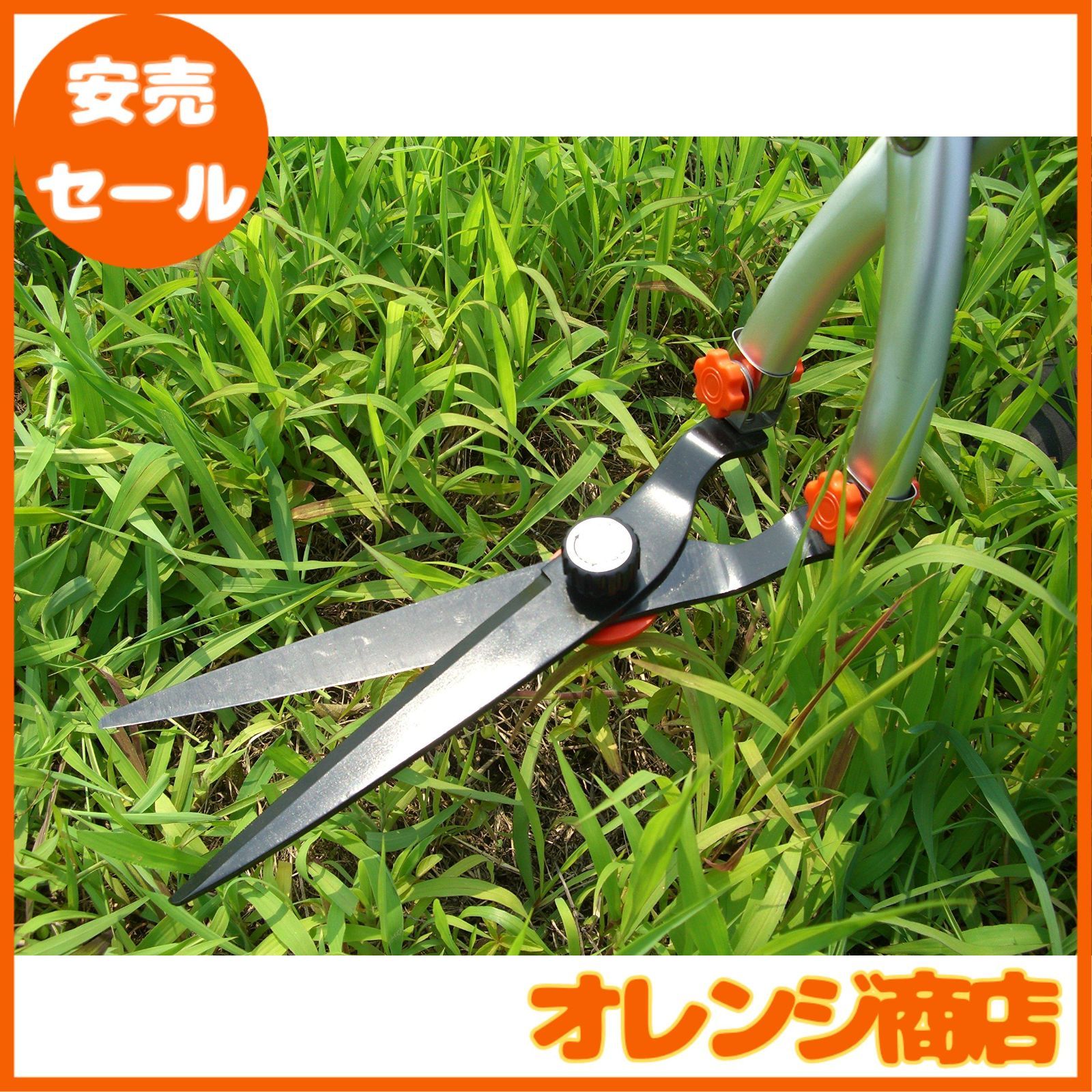 ㈱ホシノ ホシノ