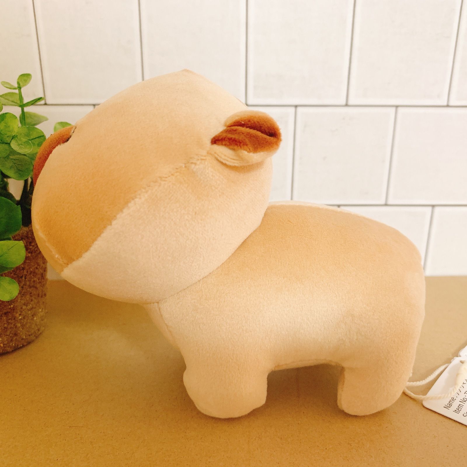 カピバラ テノリマスコット かぴばら ぬいぐるみ 小さい 可愛い