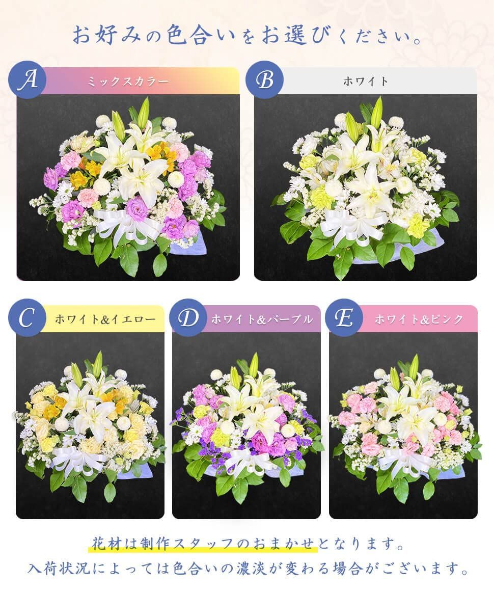 Lサイズ