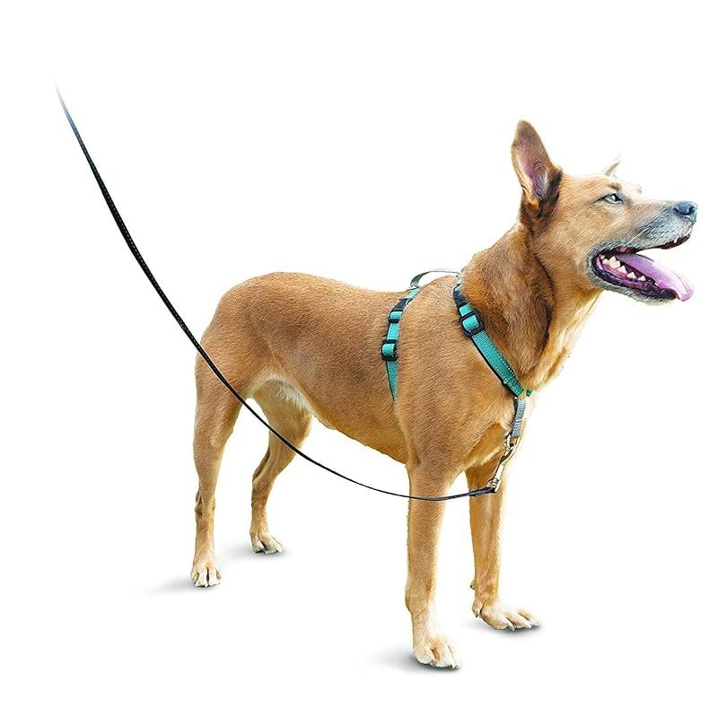 PetSafe 3in1ハーネス 中型犬 引っ張り防止 調整簡単 抜けない 犬 ハーネス M ティール グリーン 0