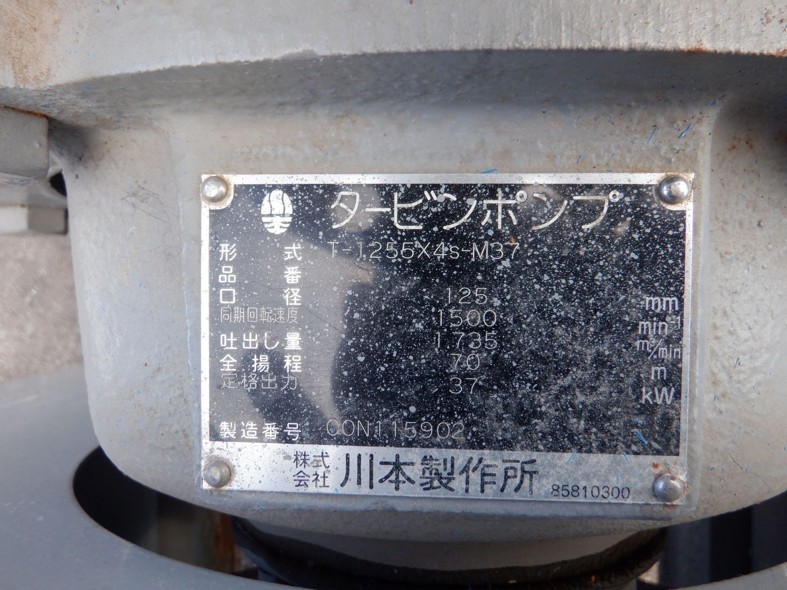 現地 をお願いします
