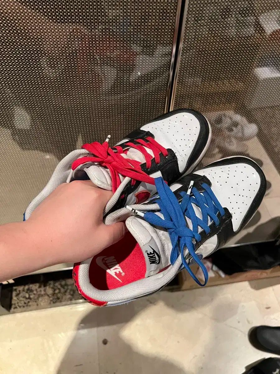 NIKE ナイキ ダンク ソウル