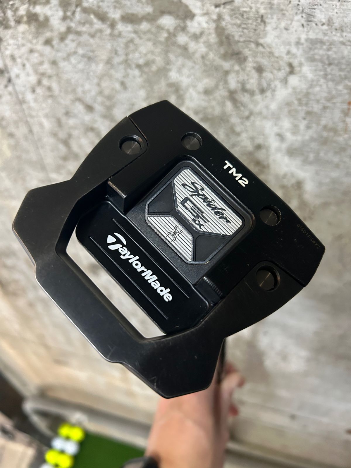 Primitive Order 組成される感覚　世界　藤木 淳　図録 Primitive Order 組成される感覚 世界 藤木 淳 図録