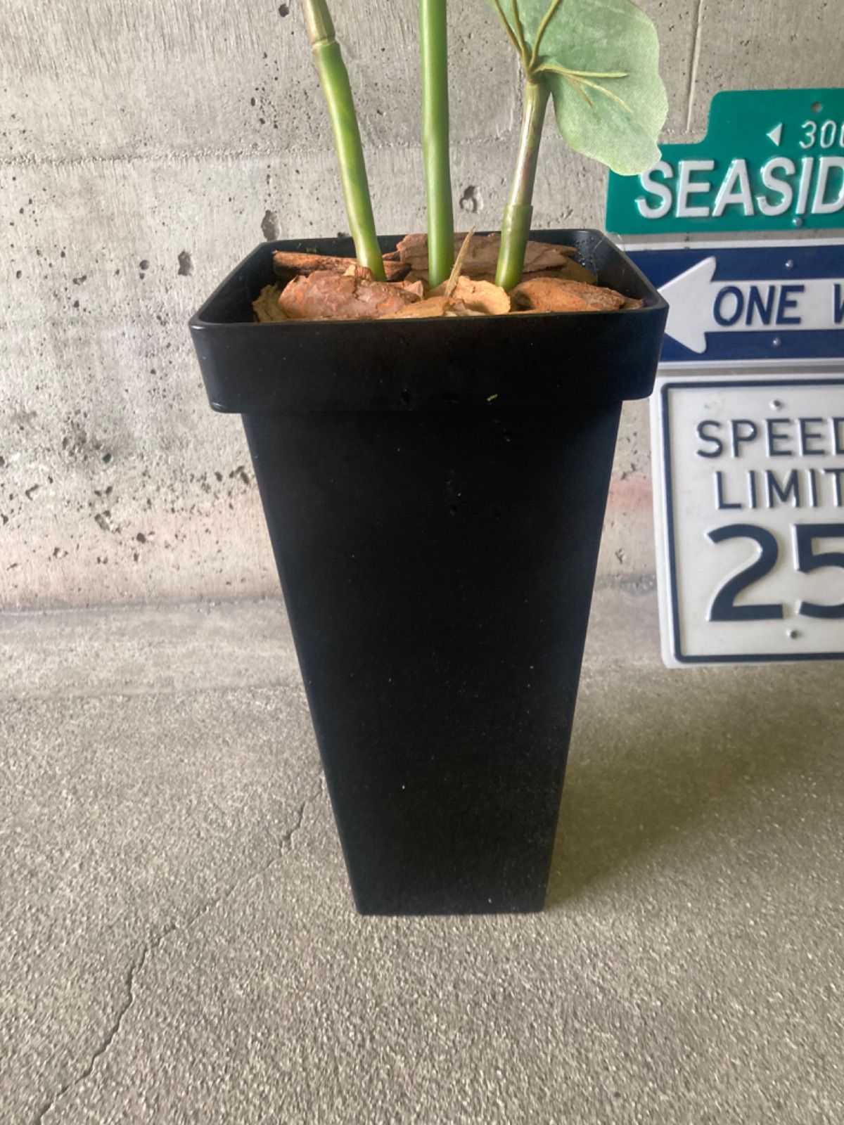 光触媒　人工観葉植物　ウォールグリーン　フェイクグリーン　シーグレープ132 光触媒 人工観葉植物 ウォールグリーン フェイクグリーン シーグレープ132