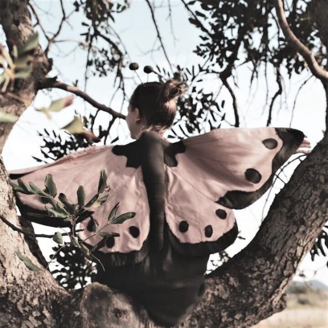 コスチューム ハロウィン ヌメロ74 バタフライウィング Powder  