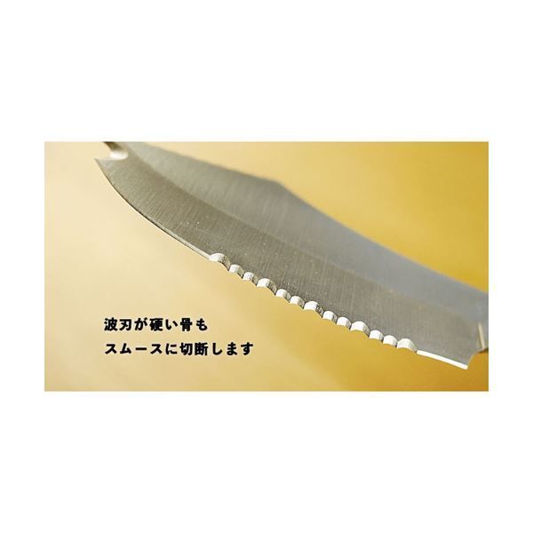 さばき方説明用DVD付き