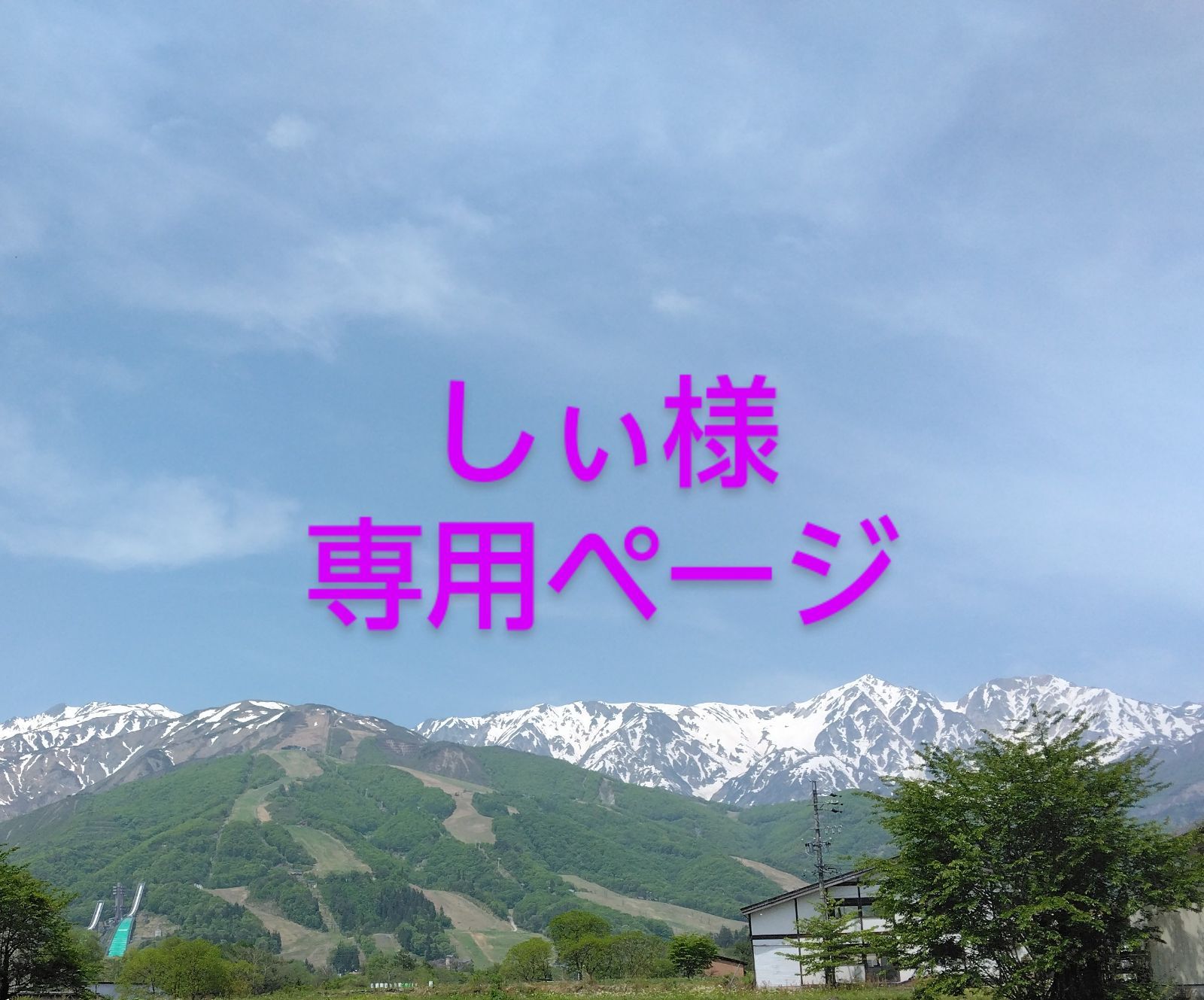 しぃ様専用ページ - JJカンパニー - メルカリ