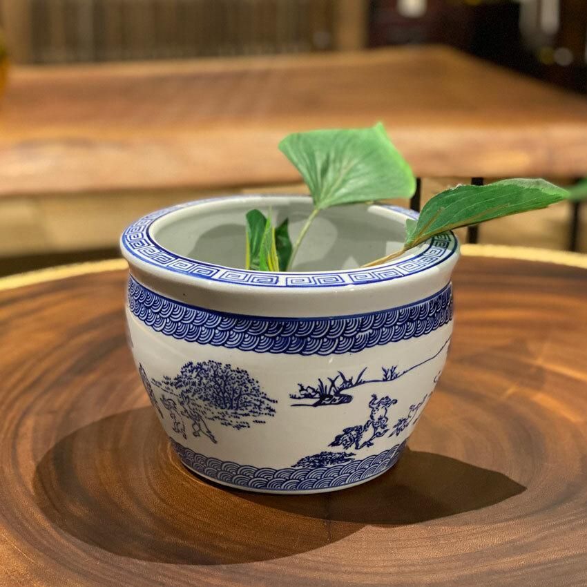 7月いっぱいの価格 睡蓮鉢めだか鉢 金魚鉢 水生植物鉢　青い水鉢 楽天市場】アクアレインブルー 睡蓮鉢の通販