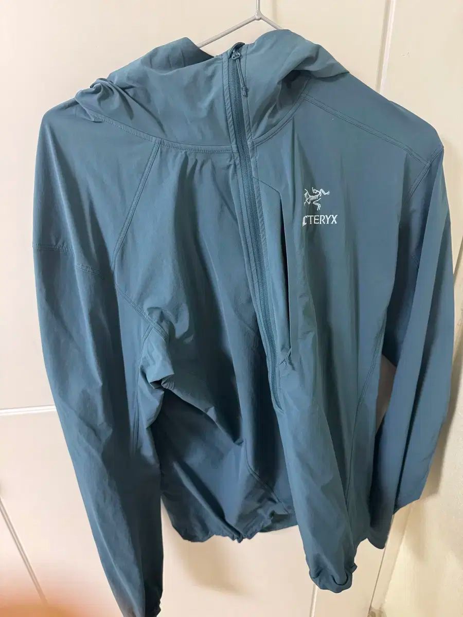 ARC TERYX アークテリクス GAMMA ガンマ SL Anorak アノラック ジャケット 男性用