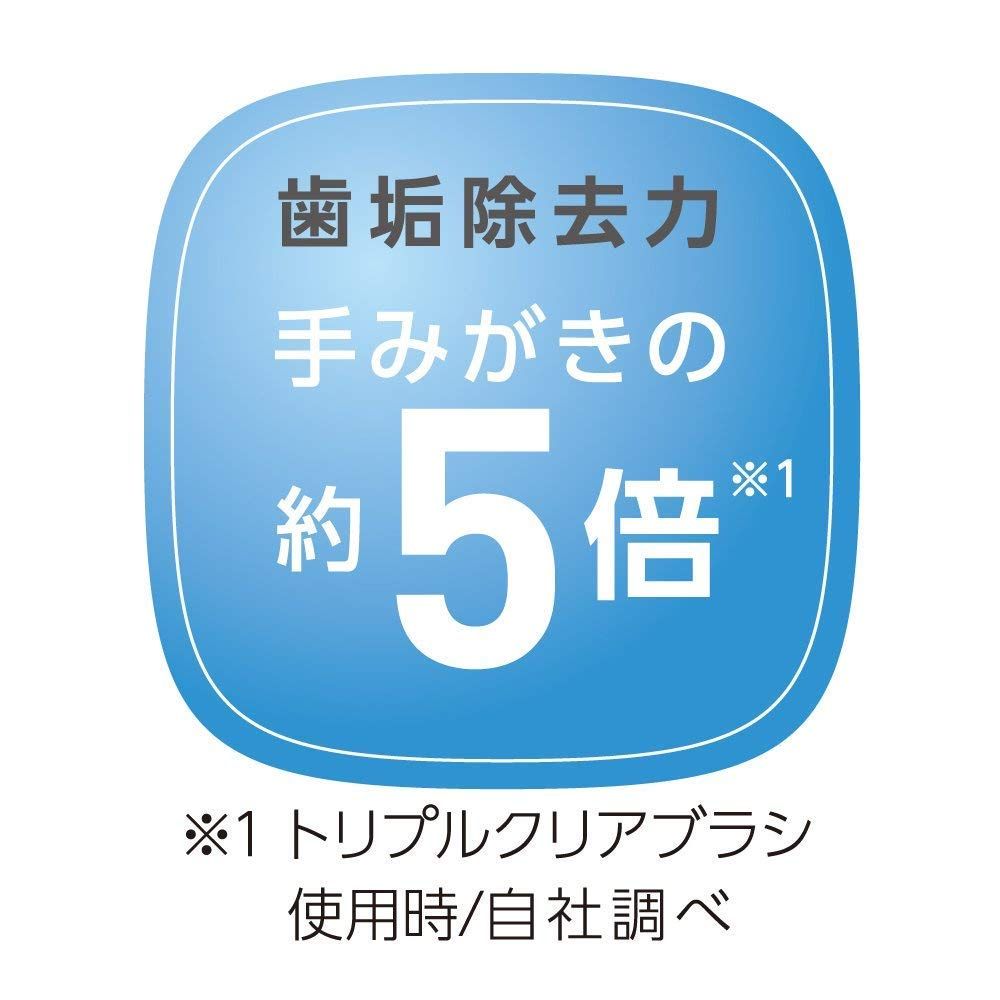 歯科技工 フラスコ(4.5インチ新品 5インチ使用品)クランプセット 歯科技工 フラスコ(4.5インチ新品 5インチ使用品)クランプセット
