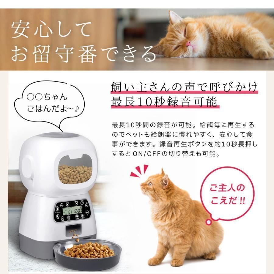 餌やり