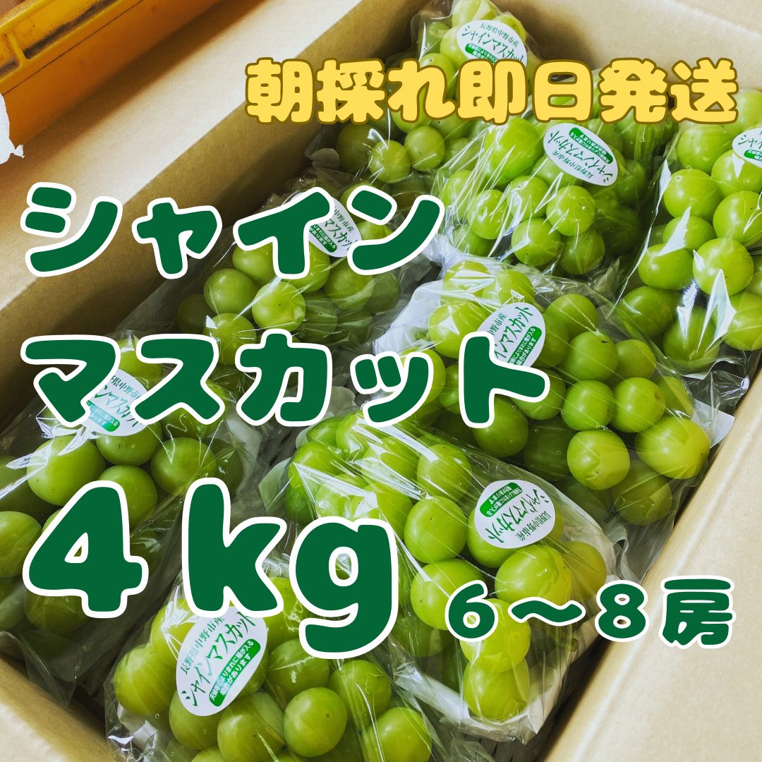 シャインマスカット(粒)  約４㎏ 先行予約】大粒 シャインマスカット 2kg【シャインマスカット