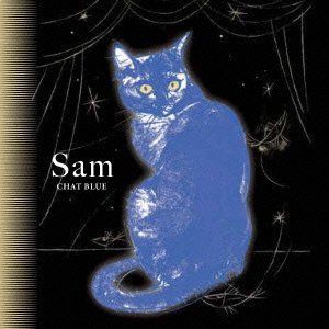 CHAT BLEU