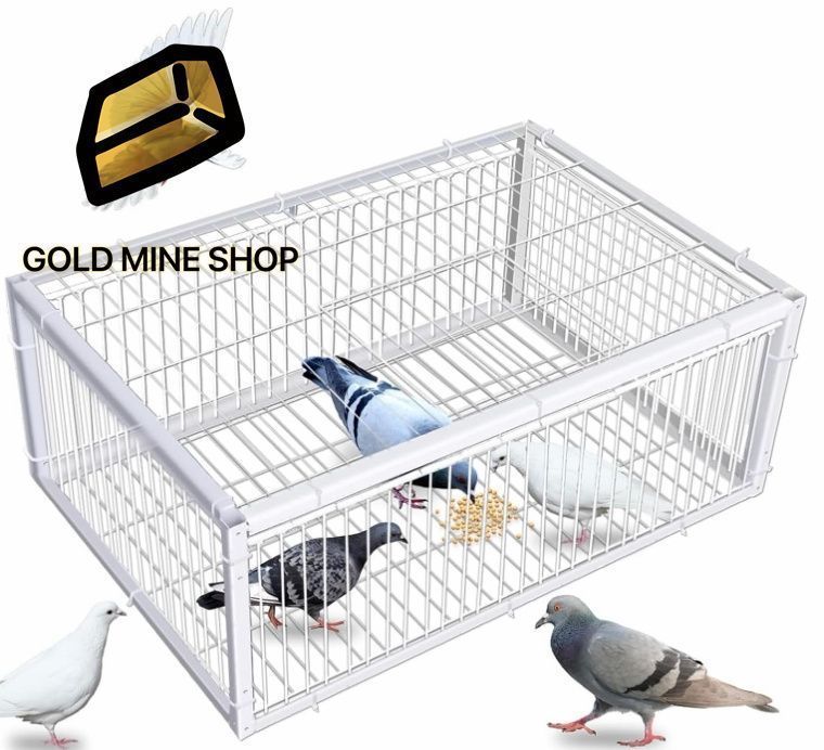 ハト?トラップ 鳩捕獲器 鳥かご 屋外用鳩かご 鳩捕り 鳩罠 脱出防止設計 4道入口付き 天窓付き 自動鳩捕獲器 鳥の捕獲 鳥に害はありません