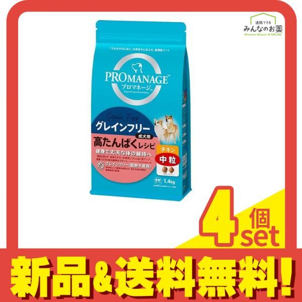 学マス 藤田ことね 飯田ヒカル 直筆サイン イラストカード