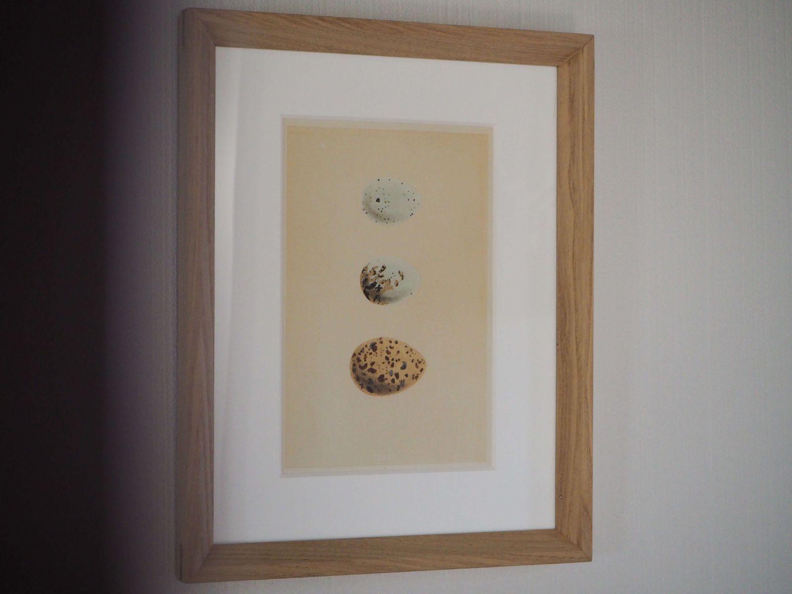 フランスアンティークファッションプレート銅版画19C中期頃 gh-270の