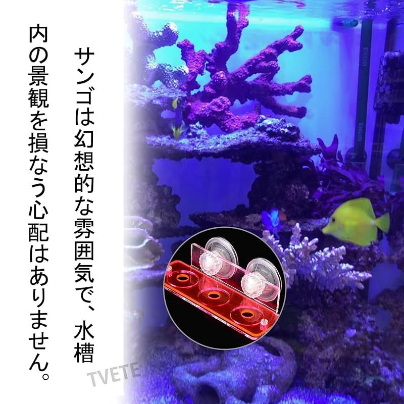 TVETE 蛍光フラグラック 吸盤付き サンゴホルダー サンゴ用台座 アクリル製水槽水族館用 珊瑚 育成 植物観賞 海洋水族館 1 - メルカリ